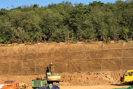 海燕策略斫研究论坛