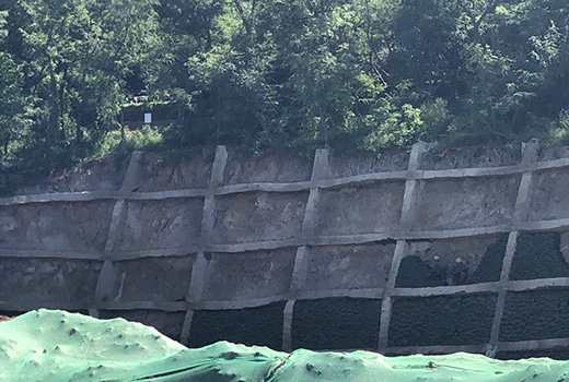 海燕策略斫研究论坛