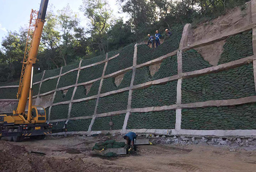 海燕策略斫研究论坛