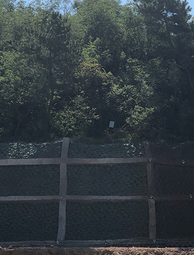 海燕策略斫研究论坛