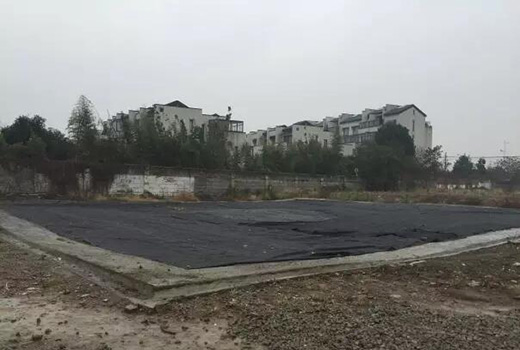 海燕策略斫研究论坛