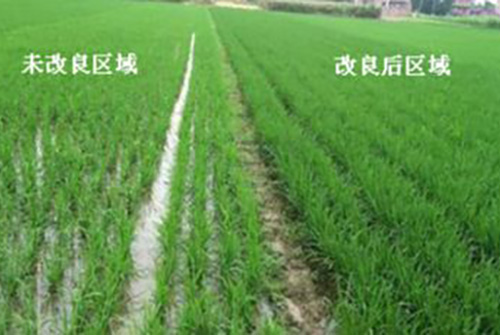 海燕策略斫研究论坛