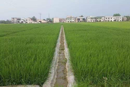 海燕策略斫研究论坛