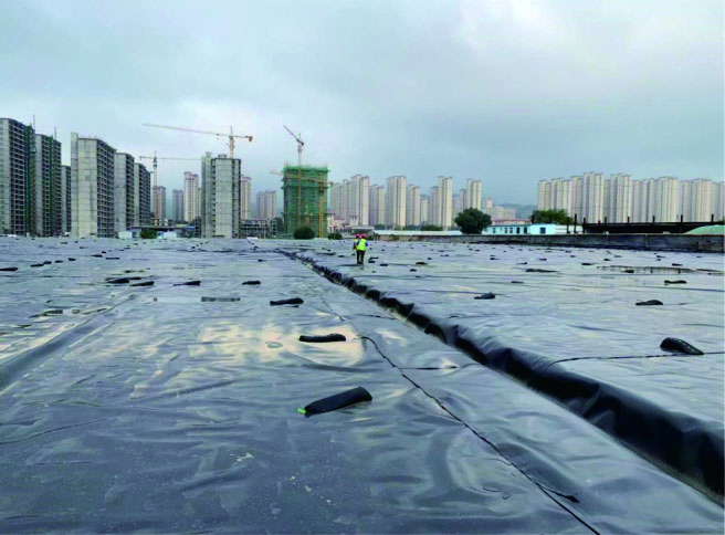 海燕策略斫研究论坛