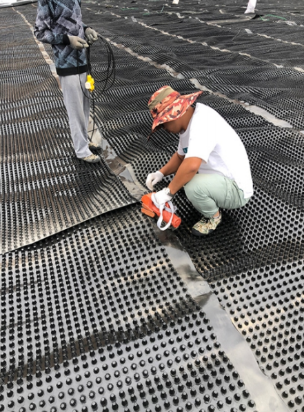 海燕策略斫研究论坛